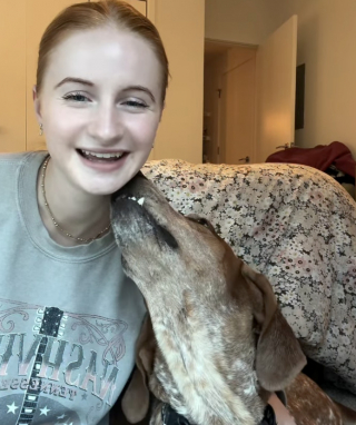 Illustration de l'article : Attach&eacute; &agrave; un arbre et laiss&eacute; sans soins pendant des mois, ce Coonhound Anglais d&eacute;couvre enfin le bonheur apr&egrave;s son adoption (vid&eacute;o)