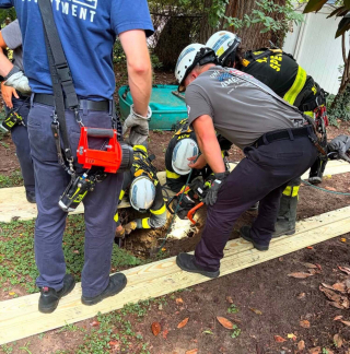 Illustration de l'article : Un Bouvier Bernois de 45 kilos tombe dans un puits abandonné de 5 mètres de profondeur et s'en sort indemne grâce aux pompiers