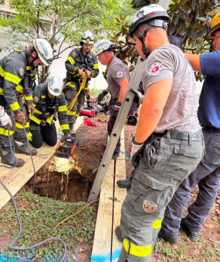 Illustration de l'article : Un Bouvier Bernois de 45 kilos tombe dans un puits abandonné de 5 mètres de profondeur et s'en sort indemne grâce aux pompiers