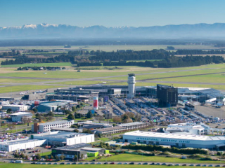 Illustration de l'article : Trouvé errant dans la rue, ce Braque allemand décroche un emploi sur mesure à l’aéroport