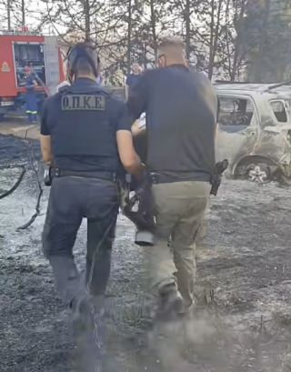 Illustration de l'article : « Derrière l'uniforme se cachent des êtres humains », des policiers sauvent un chien piégé dans les flammes d’un incendie de forêt (vidéo)