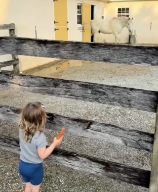 Illustration de l'article : Ignorant d’habitude tout le monde, ce cheval accourt dès qu’il reconnaît la voix d'une petite fille qui lui apporte son goûter (vidéo)