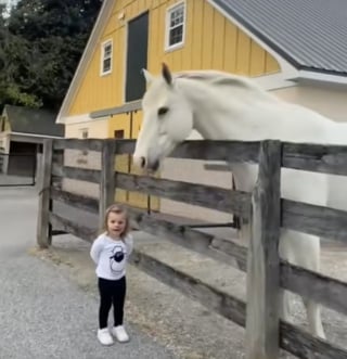 Illustration de l'article : Ignorant d’habitude tout le monde, ce cheval accourt dès qu’il reconnaît la voix d'une petite fille qui lui apporte son goûter (vidéo)