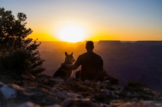 Illustration de l'article : 6 façons de prouver à votre chien que vous l’aimez
