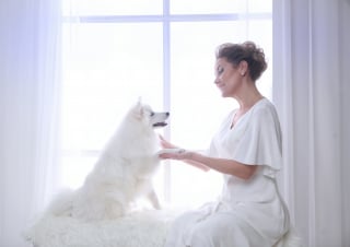 Illustration de l'article : 6 façons de prouver à votre chien que vous l’aimez