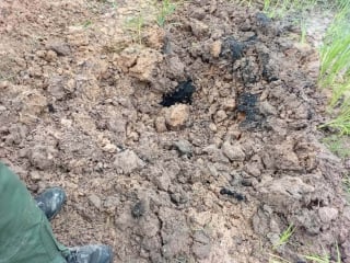 Illustration de l'article : Son chien revient avec une grenade à main dans la gueule, mais il garde son sang-froid et prévient les autorités qui font le nécessaire
