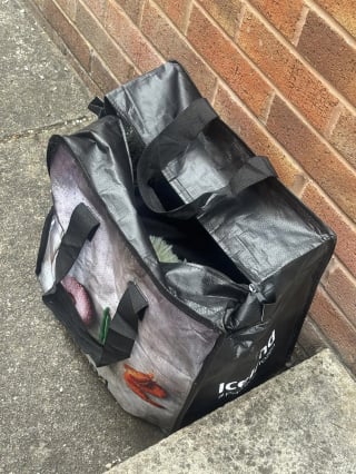 Illustration de l'article : Un jardinier trouve un sac de courses et permet le sauvetage au bon moment d’un chaton de 3 mois