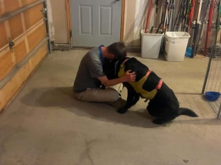 Illustration de l'article : Adopté récemment, un chien s’échappe en randonnée et survit 30 jours en montagne avant d’être retrouvé par une trentaine de bénévoles mobilisés