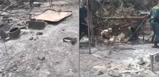 Illustration de l'article : Coincé dans un enclos calciné après un incendie dévastateur, ce chien est finalement sauvé par les secouristes espagnols (vidéo)
