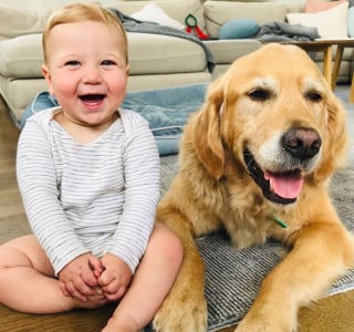 Illustration de l'article : 15 photos de chiens et de bébés qui semblent être meilleurs amis depuis toujours