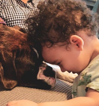 Illustration de l'article : 15 photos de chiens et de bébés qui semblent être meilleurs amis depuis toujours