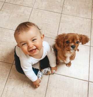 Illustration de l'article : 15 photos de chiens et de bébés qui semblent être meilleurs amis depuis toujours