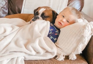 Illustration de l'article : 15 photos de chiens et de bébés qui semblent être meilleurs amis depuis toujours