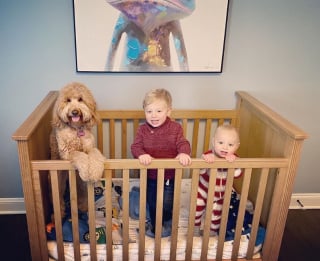 Illustration de l'article : 15 photos de chiens et de bébés qui semblent être meilleurs amis depuis toujours