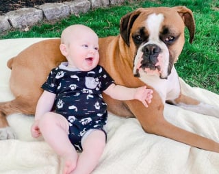 Illustration de l'article : 15 photos de chiens et de bébés qui semblent être meilleurs amis depuis toujours