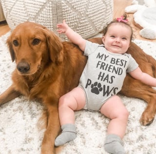 Illustration de l'article : 15 photos de chiens et de bébés qui semblent être meilleurs amis depuis toujours