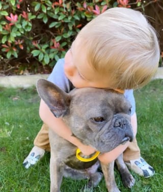 Illustration de l'article : 15 photos de chiens et de bébés qui semblent être meilleurs amis depuis toujours