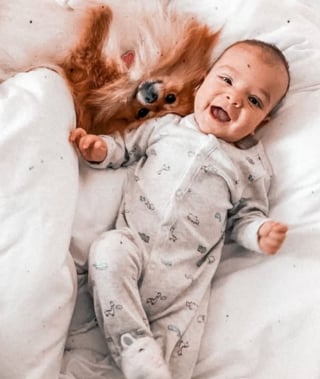 Illustration de l'article : 15 photos de chiens et de bébés qui semblent être meilleurs amis depuis toujours
