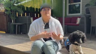 Illustration de l'article : Après la polémique, une compagnie aérienne qui avait refusé le chien d'assistance d'un adolescent guéri d'une leucémie revient sur sa décision et les laisse prendre l'avion