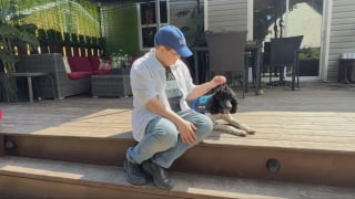 Illustration de l'article : Après la polémique, une compagnie aérienne qui avait refusé le chien d'assistance d'un adolescent guéri d'une leucémie revient sur sa décision et les laisse prendre l'avion