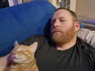 Illustration de l'article : 10 photos de chats roux assortis à leur adoptant