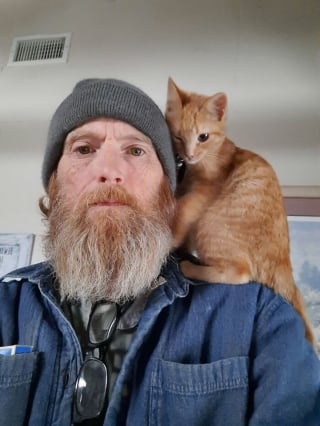 Illustration de l'article : 10 photos de chats roux assortis à leur adoptant