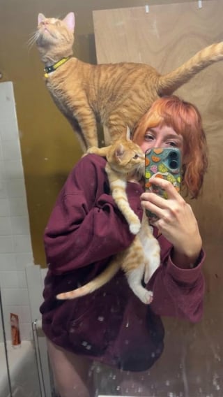 Illustration de l'article : 10 photos de chats roux assortis à leur adoptant
