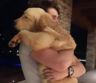 Illustration de l'article : 17 photos attendrissantes de chiots qui découvrent les petits bonheurs de l’existence
