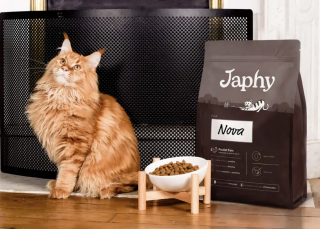 Illustration de l'article : Pourquoi certains ingrédients sont absents des produits Japhy