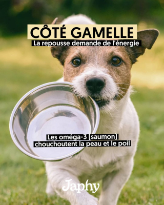 Illustration de l'article : Pourquoi certains ingrédients sont absents des produits Japhy