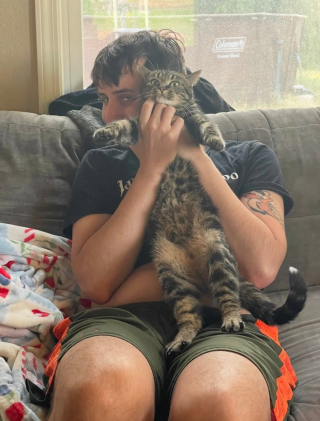 Illustration de l'article : Après 40 jours d'angoisse, une chatte perdue en camping en pleine nature et à 1800 km de chez elle est retrouvée indemne