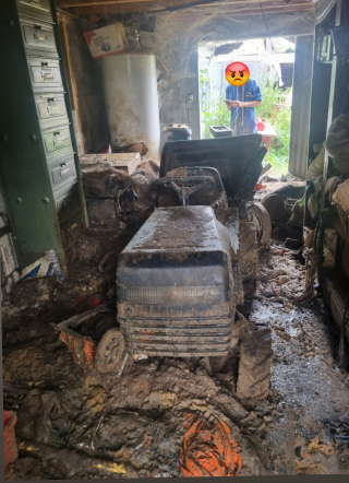 Illustration de l'article : En Mayenne (53), 4 chiens n’ayant jamais connu l’extérieur commencent une nouvelle vie grâce à l’intervention de la SPA
