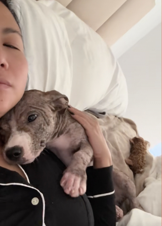 Illustration de l'article : Reconnaissante d’être soignée et aimée, cette chienne atteinte d’une infection de la peau ne peut s’empêcher de câliner sa bienfaitrice (vidéo)