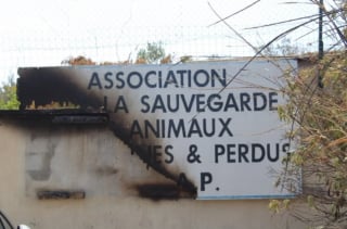 Illustration de l'article : Une trentaine de chiens &eacute;vacu&eacute;s en urgence d'un refuge roussillonnais d&eacute;vast&eacute; par un feu de for&ecirc;t, une cagnotte solidaire ouverte pour sa reconstruction
