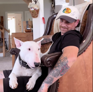 Illustration de l'article : « Il vous donnera tellement d’amour », un homme adopte le Bull Terrier de son défunt meilleur ami, ils se réconfortent mutuellement (vidéo)