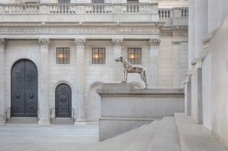 Illustration de l'article : 21 photos primées lors d’un concours photo révèlent toute la beauté des animaux au cœur de l’action