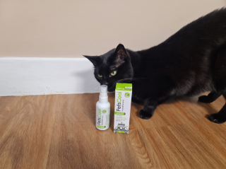 Illustration de l'article : Avis PetsCool Spray : notre test pour détendre un chat stressé par une visite chez le vétérinaire