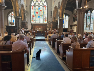 Illustration de l'article : Ce chat a élu domicile dans une église vieille de plusieurs siècles et il en est devenu la meilleure publicité (vidéo)
