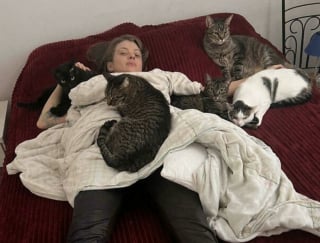 Illustration de l'article : 45 photos de groupes de chats complices qui mettent toute leur malice en avant