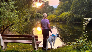 Illustration de l'article : Apr&egrave;s 550 jours d&rsquo;attente, le &laquo; chien le plus solitaire &raquo; du pays trouve enfin la maison qu&rsquo;il m&eacute;ritait (vid&eacute;o)