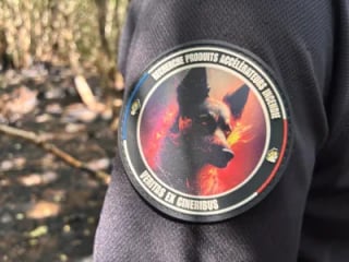Illustration de l'article : Gr&acirc;ce &agrave; son flair hors pair, ce Malinois est l&rsquo;un des rares chiens de France capables de retrouver les acc&eacute;l&eacute;rateurs d'incendie (vid&eacute;o)