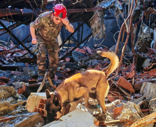 Illustration de l'article : Gr&acirc;ce &agrave; son flair hors pair, ce Malinois est l&rsquo;un des rares chiens de France capables de retrouver les acc&eacute;l&eacute;rateurs d'incendie (vid&eacute;o)