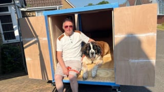 Illustration de l'article : Ce Saint-Bernard sauv&eacute; apr&egrave;s un abandon sillonne d&eacute;sormais les routes &agrave; bord du side-car de son adoptant