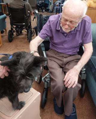 Illustration de l'article : Gravement blessé puis sauvé en Roumanie ce courageux chien devient chien de thérapie pour personnes âgées