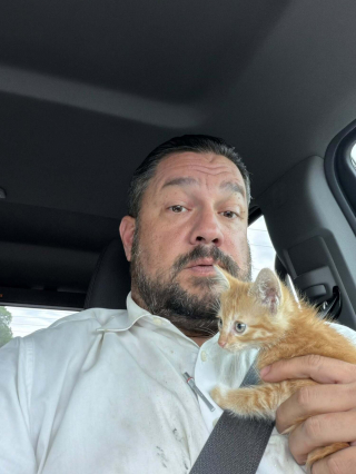 Illustration de l'article : Un sergent de police d&eacute;couvre un chaton coinc&eacute; dans le moteur d&rsquo;une voiture de patrouille et le sauve avant de l&rsquo;adopter