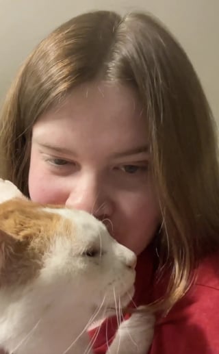 Illustration de l'article : Une b&eacute;n&eacute;vole en deuil est boulevers&eacute;e lorsqu'un chat reproduit le m&ecirc;me coup de t&ecirc;te que son ancien f&eacute;lin et d&eacute;cide de l'adopter (vid&eacute;o)