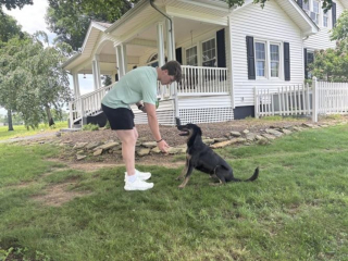 Illustration de l'article : Disparu pendant 8 ans, ce chien identifi&eacute; gr&acirc;ce &agrave; sa puce retrouve &agrave; 10 ans le gar&ccedil;on qui l&rsquo;attendait depuis son enfance