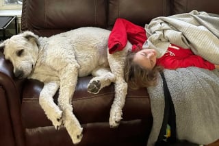 Illustration de l'article : Une simple livraison de colis permet &agrave; cette adolescente de sauver in extremis son chien attaqu&eacute; et bless&eacute;