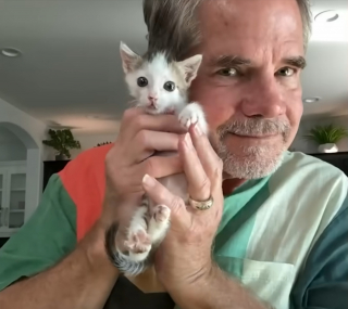 Illustration de l'article : Ce chaton orphelin recueilli et biberonné par un homme au grand cœur vit une transformation touchante semaine après semaine jusqu'à son adoption