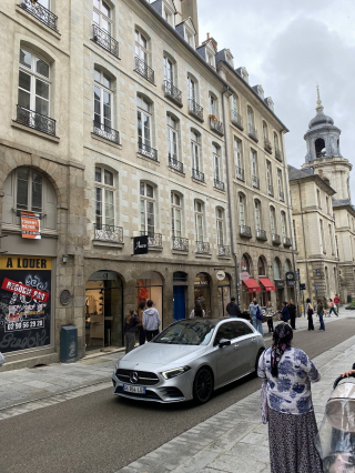 Illustration de l'article : A Rennes, un chien longtemps suspendu au 3e étage finit par tomber mais sa chute est amortie par un drap tendu par des passants